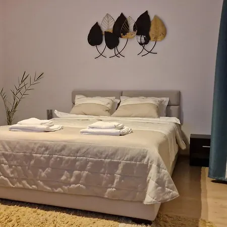 Mosaic * 布拉索夫