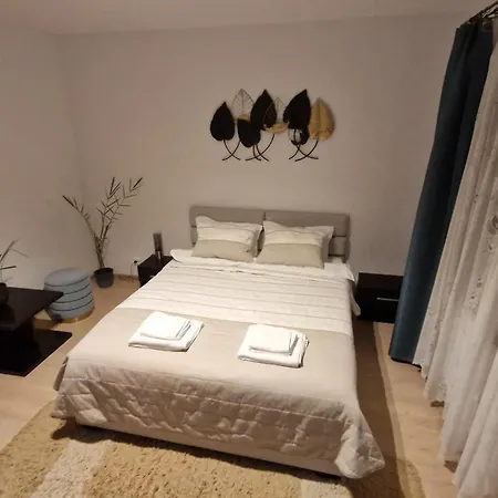 公寓 Mosaic 布拉索夫