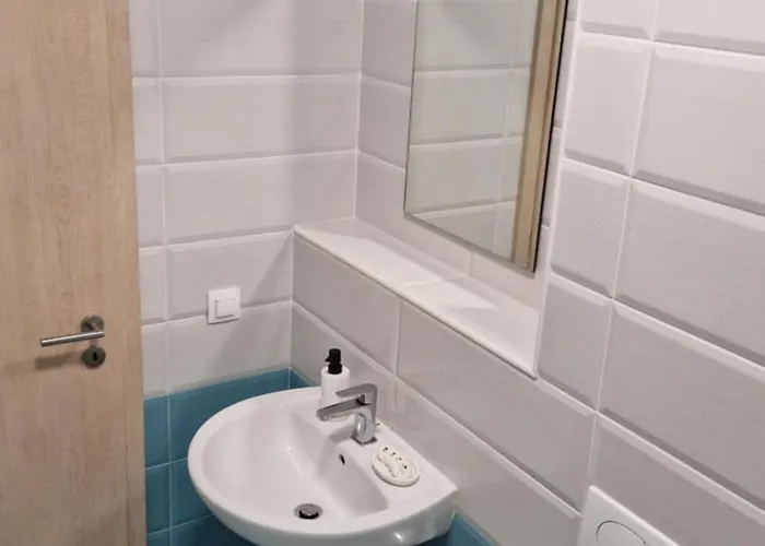 Mosaic 公寓 布拉索夫