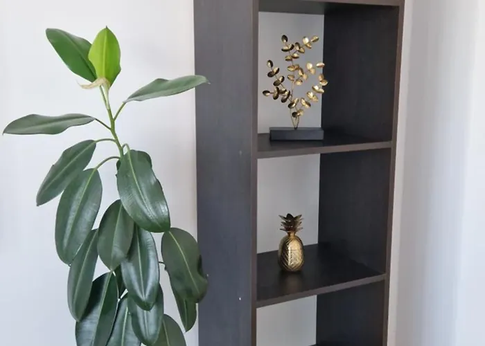 Mosaic * Брашов