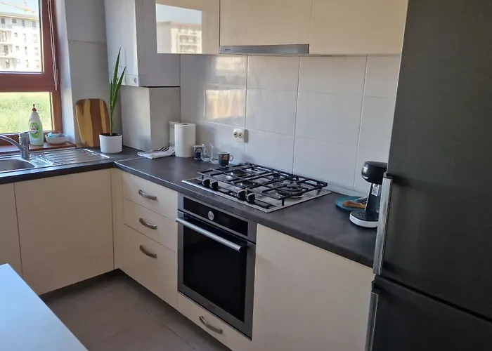 Апартаменты Mosaic Брашов